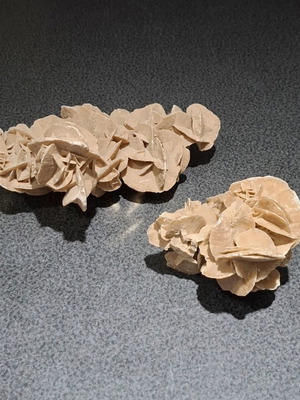 Desert Rose Collection (2 Rare Mineral Pieces - 1.16kg Total)