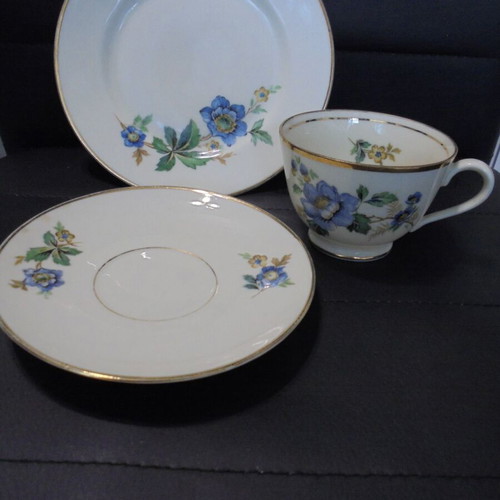 Napoli Dekoreret I Danmark porcelain set used, cup with two saucers