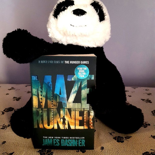 The Maze Runner βιβλίο καινούργιο, αγγλικά