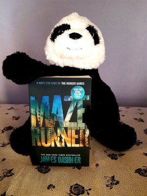 The Maze Runner βιβλίο καινούργιο, αγγλικά