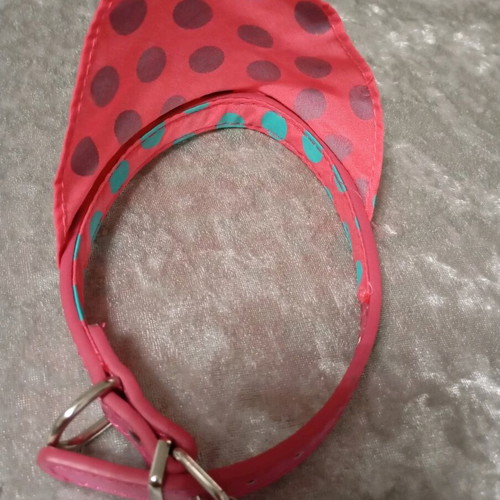 Dog collar for small dogs resembling bandana like new