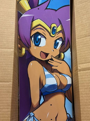 Shantae Skateboard Deck new, Limited Run collectible