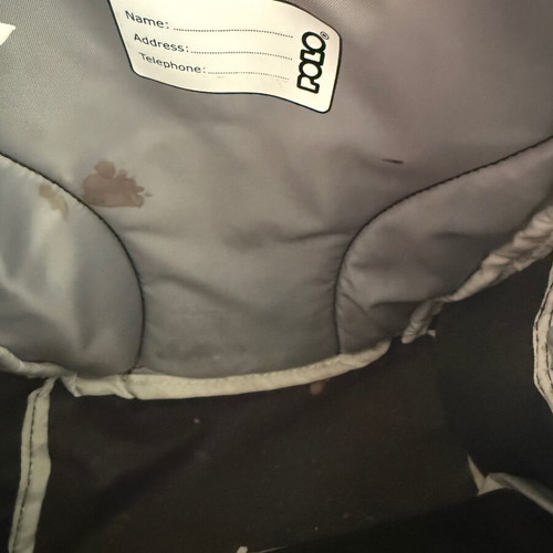 Polo toddler backpack with reinforced shoulder straps