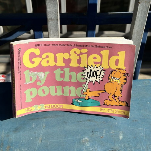Garfield By The Pound 22nd Book used comic by Jim Davis