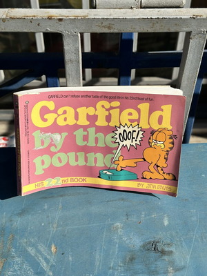 Garfield By The Pound 22nd Book used comic by Jim Davis