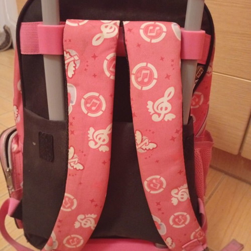 Wheeled bag like new