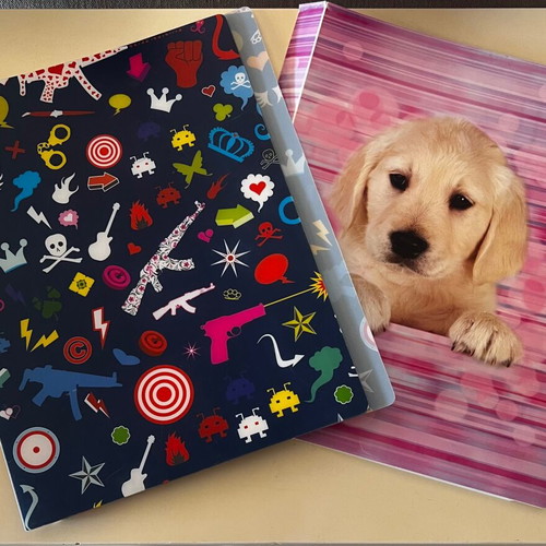 Binders with sleeves and plain, like new, pack of 7 pieces