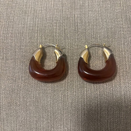 Tortoise earrings used with gold detail brown