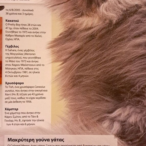 Guinness World Records 2014 book, Greek edition