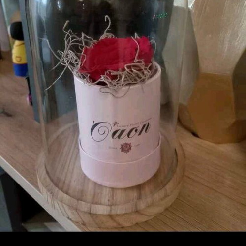 Forever preserved rose with glass dome like new