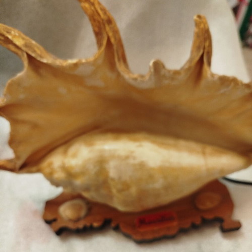 Vintage shell lamp used from Mauritius