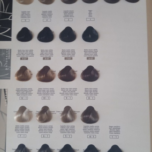 Nirvel professional hair color chart