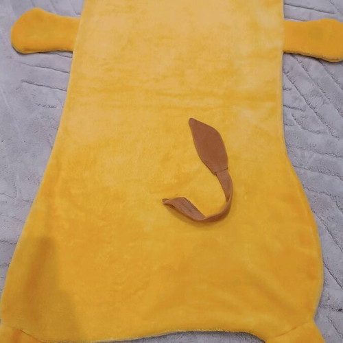 Lion Sleeping Bag like new for Big Kids Up to 10 Years