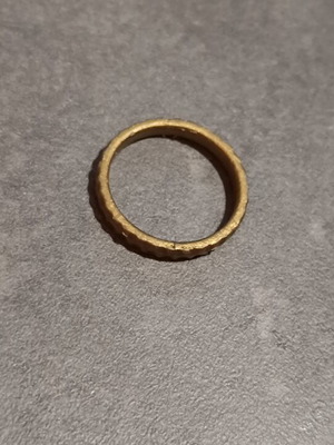 Playmobil gold crown