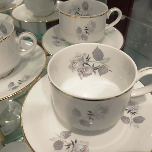 Winterling Röslau Bavaria Tea Set new German porcelain