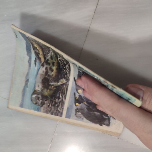 Zagor 18 comic used in good condition