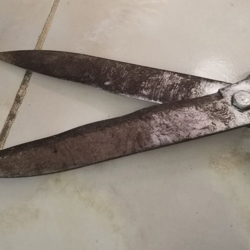 Hedge and Grass Shears used, 50 cm length