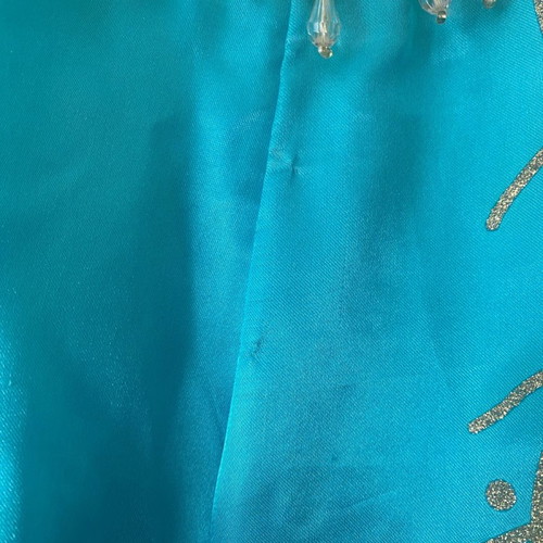 Jasmine costume from Disneyland with slight wear, size 7-8