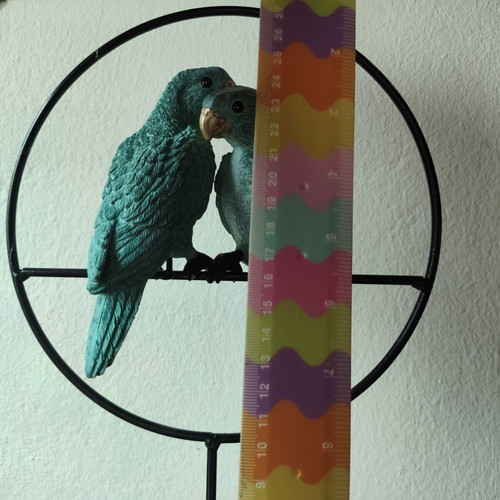 Table decoration with two blue parrots used