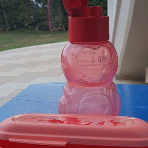 Tupperware Princess Disney kids snack box set with bottle new