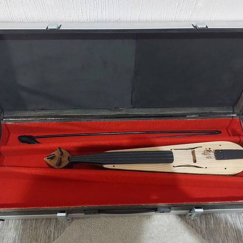 Pontian lyra Zilokapani with double case new, handmade