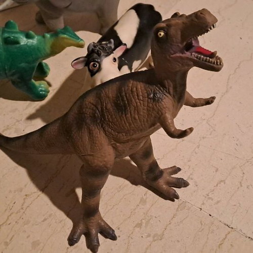 Plastic animals pack of 6 like new