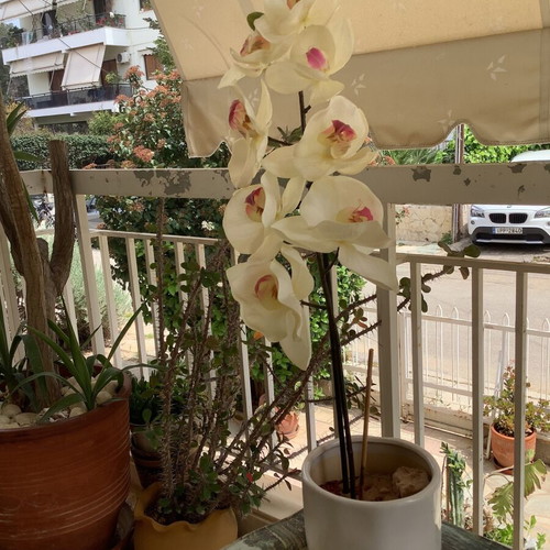 Decorative plastic orchid plant like new