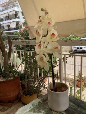 Διακοσμητικό φυτό πλαστικό ορχιδέα σαν καινούργιο