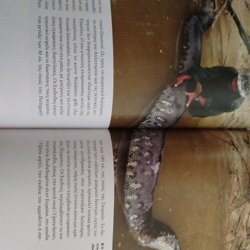 The Crocodile and the World of Reptiles like new, Greek edition