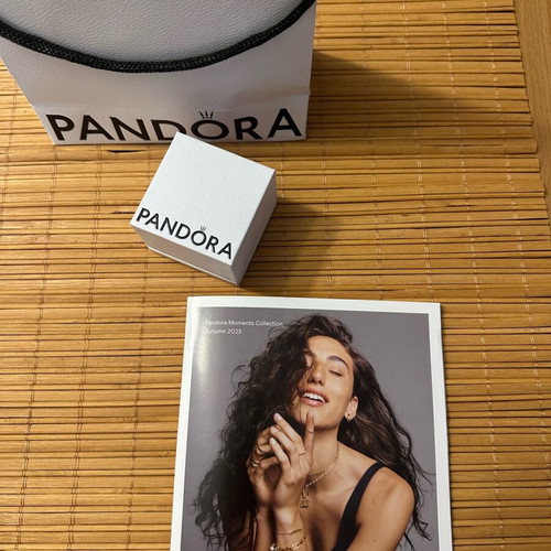 Pandora charm box and bag new