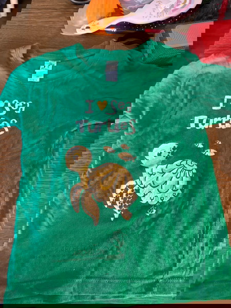Turtle T Shirt from Archelon -2 years old- Green