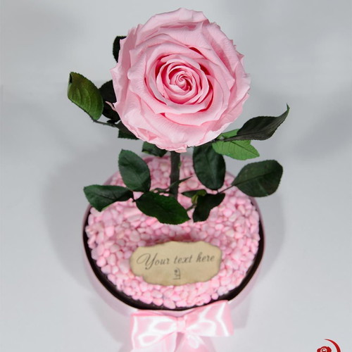Pink natural eternal rose in large glass dome new