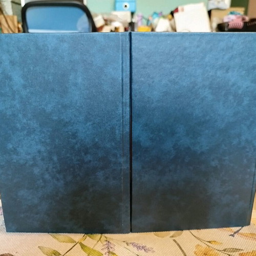The Bridge of Sighs 2 volumes like new, classic literature collection