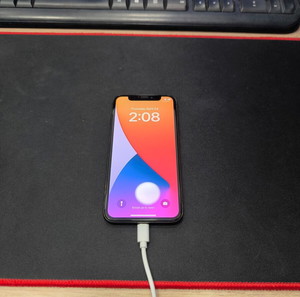 iPhone X 64GB