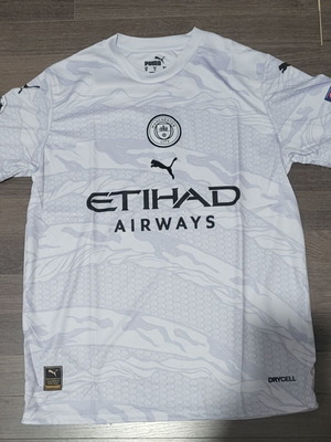 Manchester City official replica sports jersey Medium