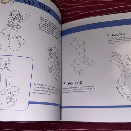 Draw Like the Experts Erotic Manga 2008 like new, 330 pages