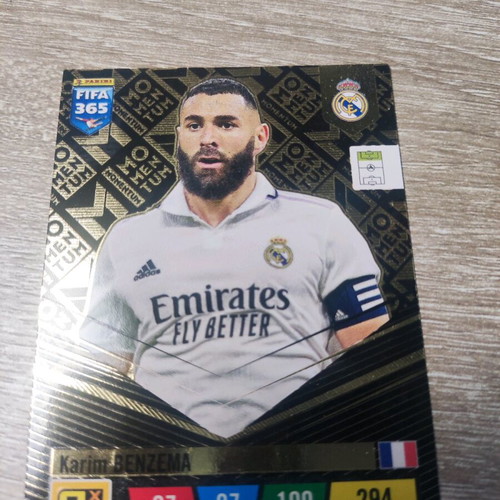 Panini collectible football card like new