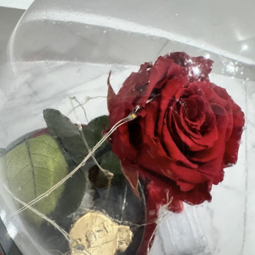 Preserved red rose in glass dome used with LED lights