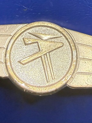 Authentic BW Luftwaffe Activity Badge used, silver tone