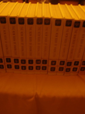 The New Book of Knowledge new encyclopedia 20 volumes
