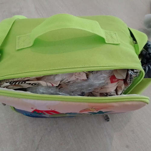 Insulated lunch bag and small backpack like new