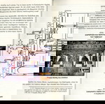  Γιώργος Αλεξίου (1995) Το ξυλόγλυπτο τέμπλο του Ι. Ν. Παναγίας και Αγίου Μηνά Καστοριάς / Kastoria