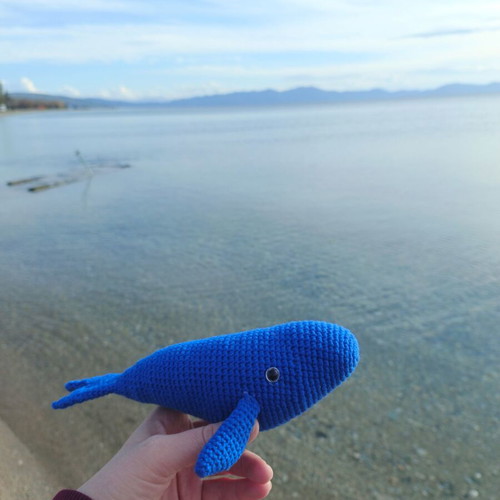 Whale knitted handmade like new, 21cm