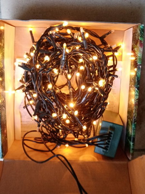240 white Christmas lights