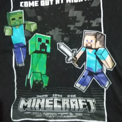 Minecraft t-shirt used, size 146 cm