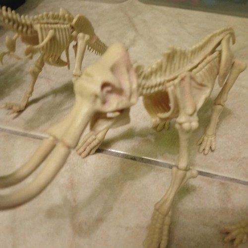 Dinosaur skeletons like new, set of 4 with Triceratops, Mammoth, Tyrannosaurus, Stegosaurus