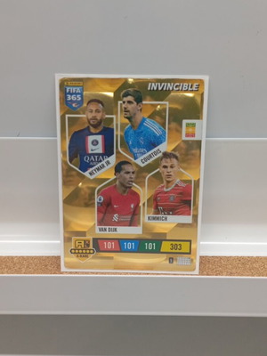 Invincible 2023 Card new condition