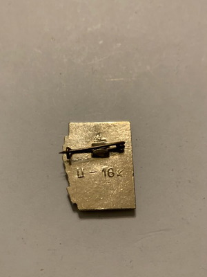 Odessa pin used