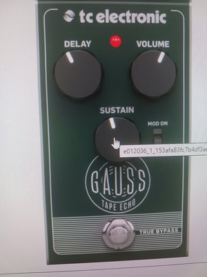Gauss Tape Echo pedal Tc Electronic new