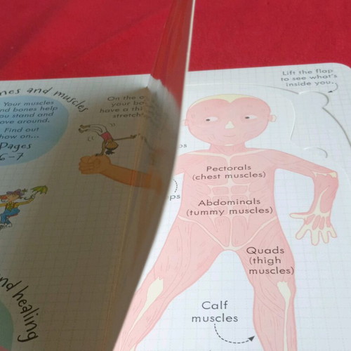 Children's book Look inside your body like new, English